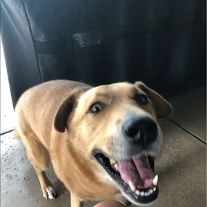 Meet your Posher, Alejo